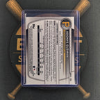 2025 Bowman Draft Adonys Guzman Purple